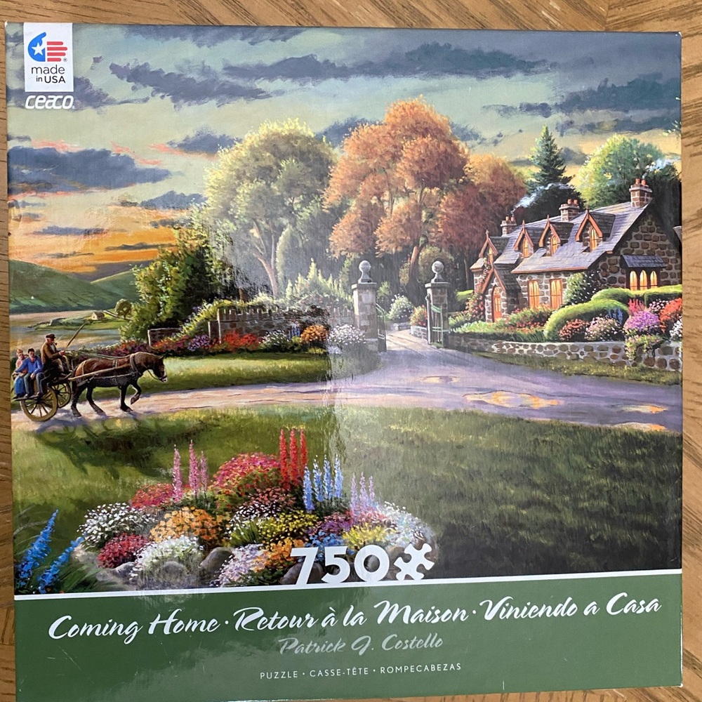 750 piece puzzle
